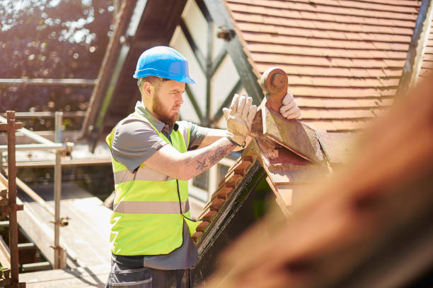 Professional Roofing Contractor in Whiskey Creek, FL